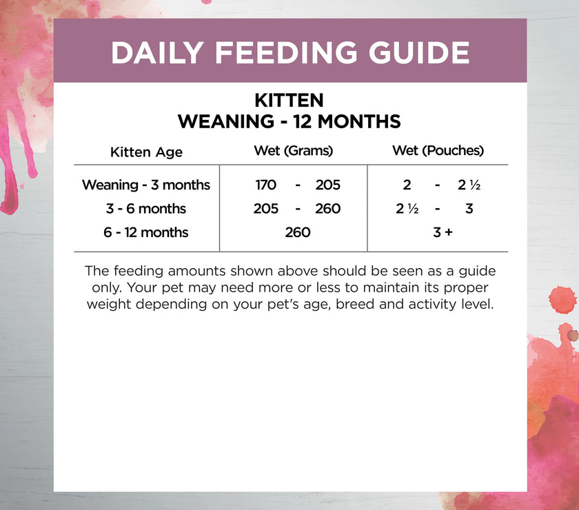 Ivory Coat – Kitten – Wet Food Trays – Inspired By Raw – Kitten Immunity