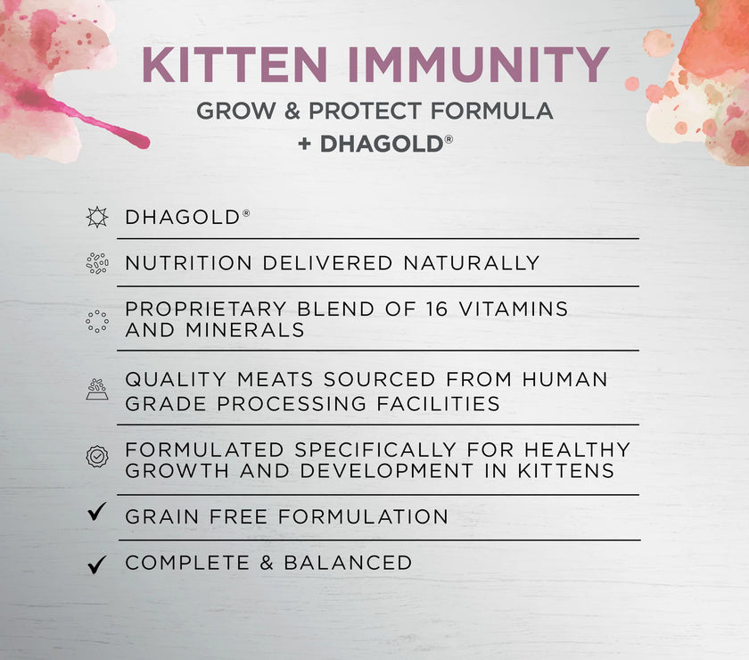 Ivory Coat – Kitten – Raw Health – Kitten Immunity