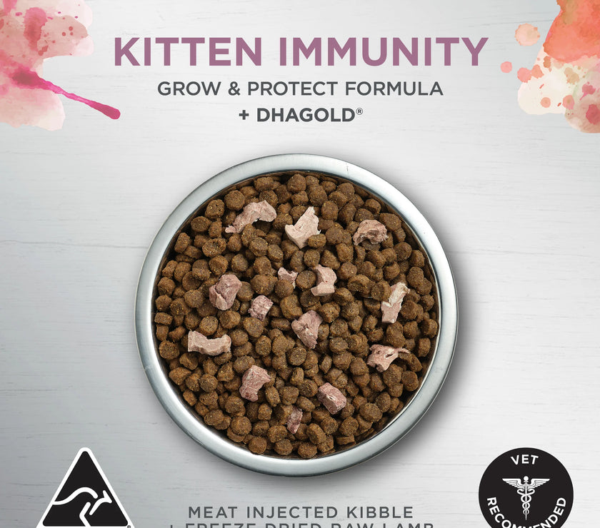 Ivory Coat – Kitten – Raw Health – Kitten Immunity