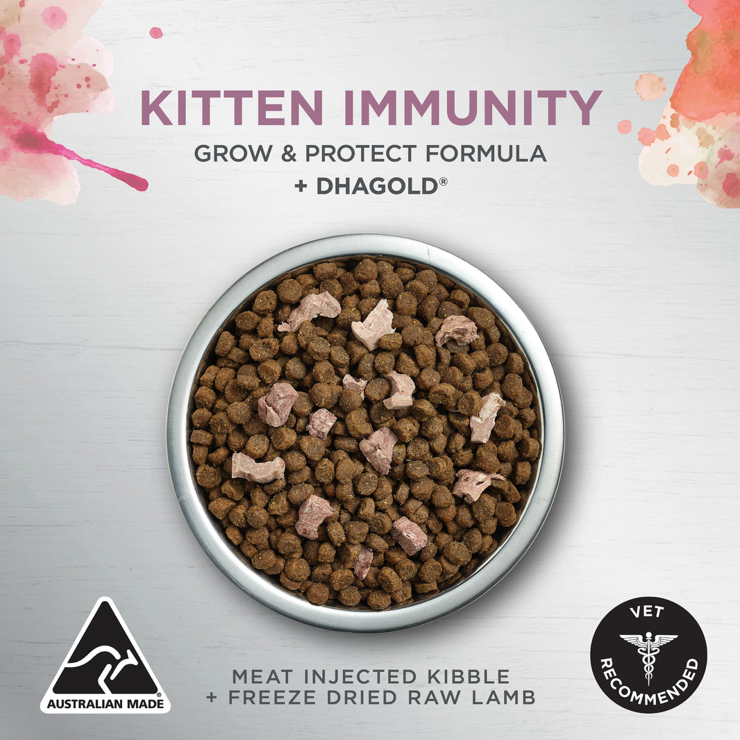 Ivory Coat – Kitten – Raw Health – Kitten Immunity