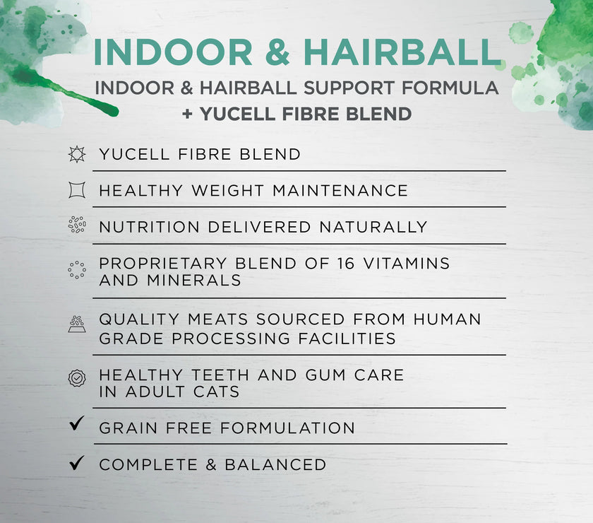 Ivory Coat – Adult Cat – Raw Health – Indoor & Hairball