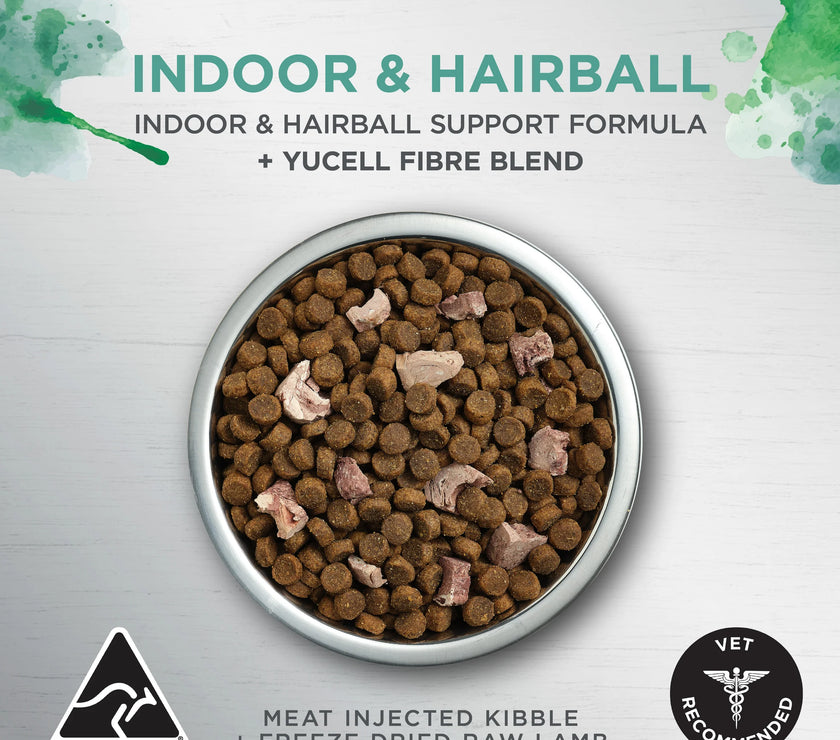 Ivory Coat – Adult Cat – Raw Health – Indoor & Hairball