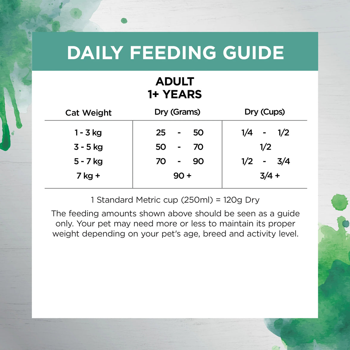 Ivory Coat – Adult Cat – Raw Health – Indoor & Hairball