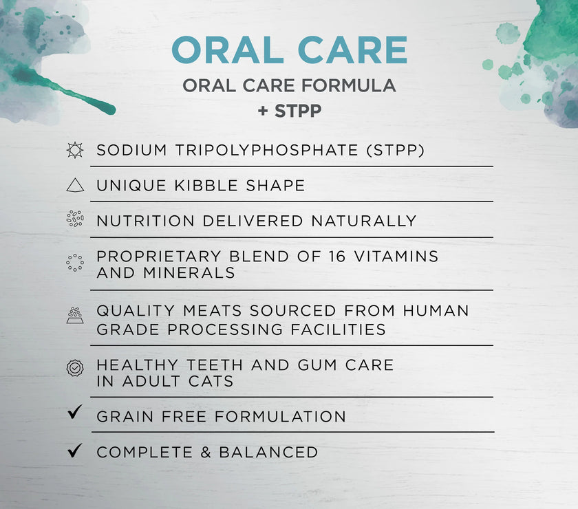 Ivory Coat – Adult Cat – Raw Health – Oral Care