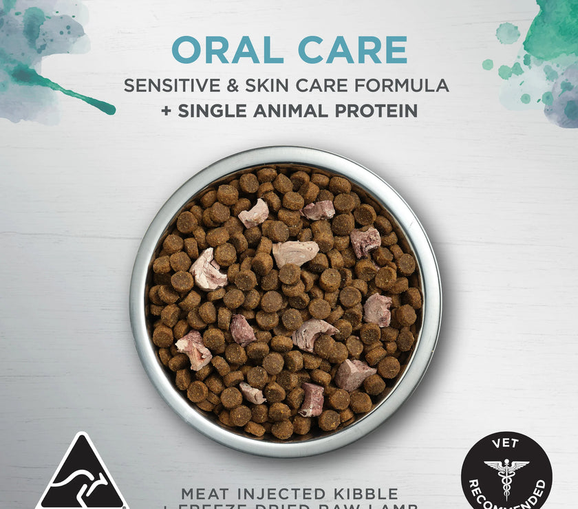 Ivory Coat – Adult Cat – Raw Health – Oral Care