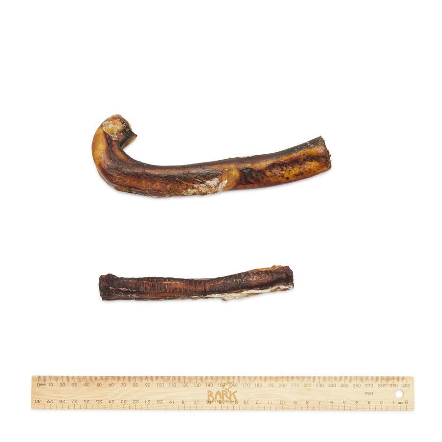 Bark & Beyond – Bully Stick - image 4