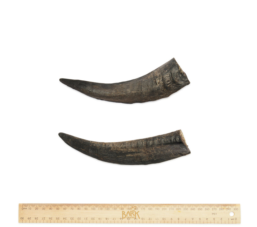 Bark & Beyond – Goat Horn