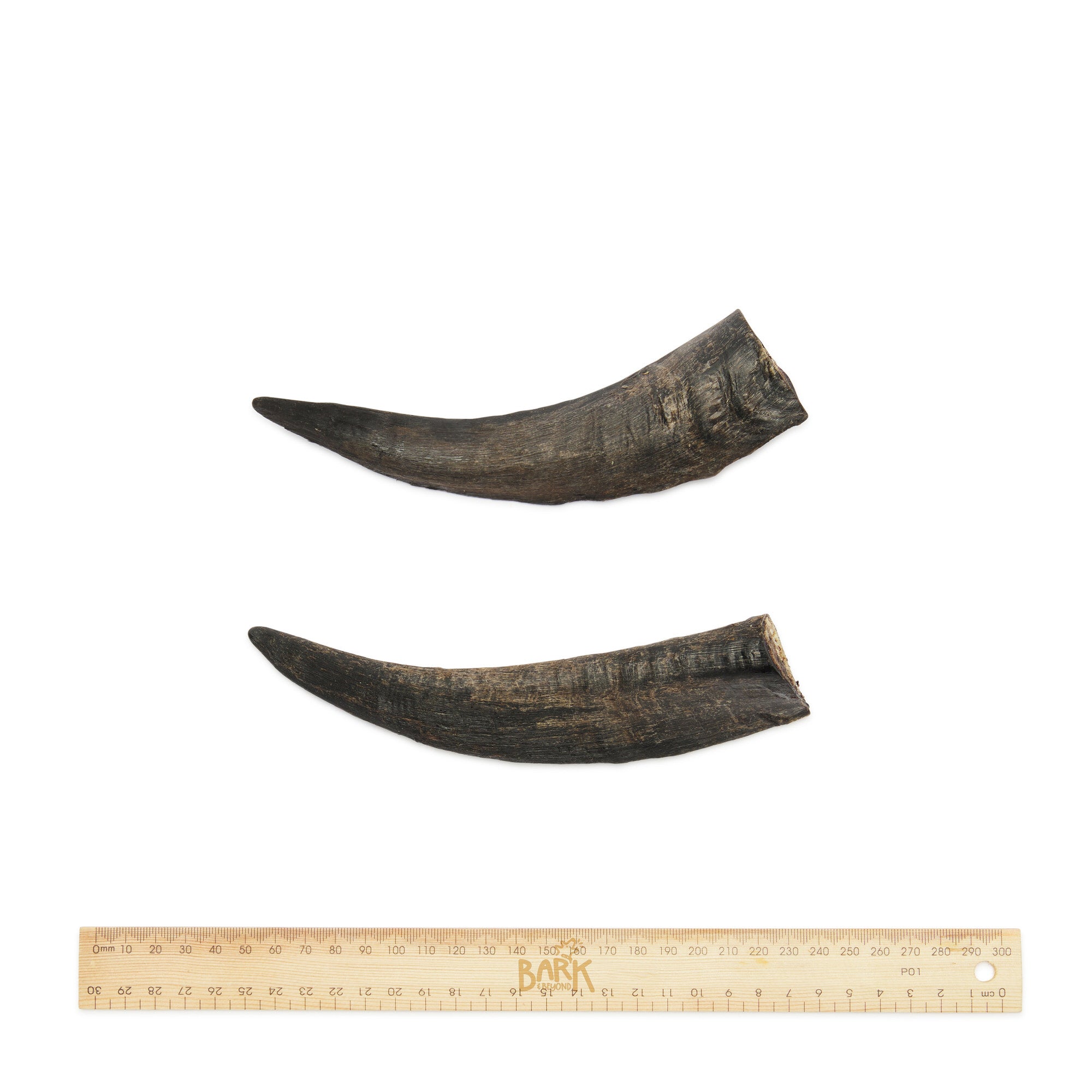 Bark & Beyond – Goat Horn - image 6