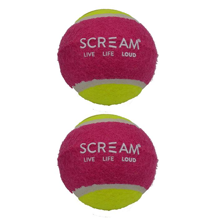 Pets Tennis Ball - 2 Pack