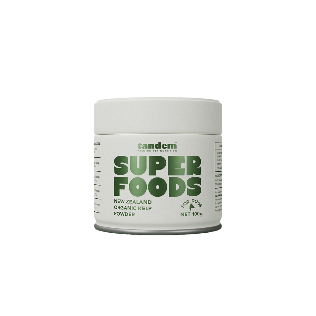 Tandem – Super Foods – New Zealand Organic Kelp Powder for Cats & Dogs