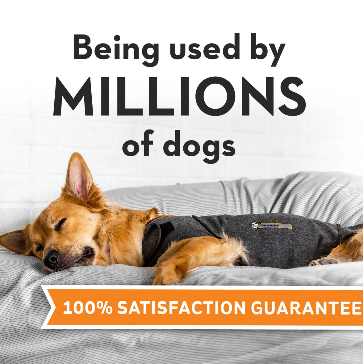 Thundershirt For Dogs - Dog Anxiety Jumper