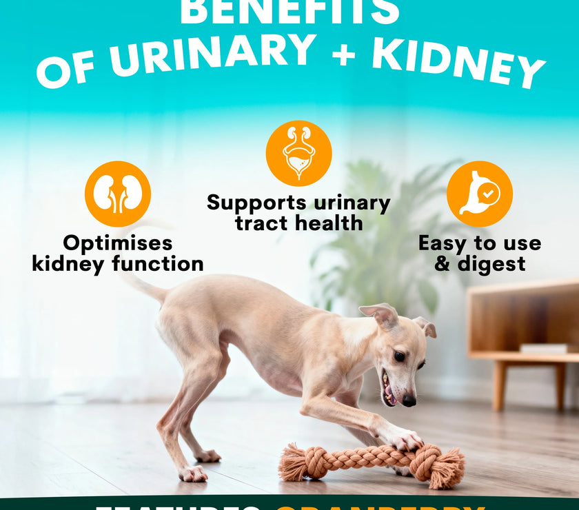 PetzPark – Urinary + Kidney – For Dogs