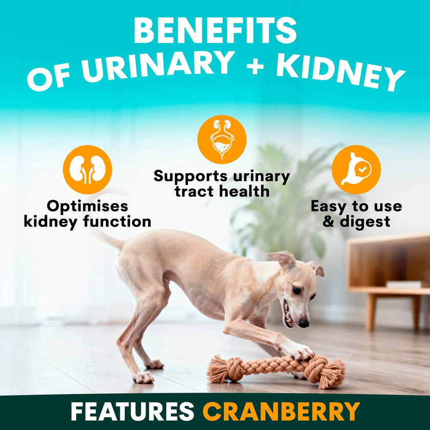 PetzPark – Urinary + Kidney – For Dogs