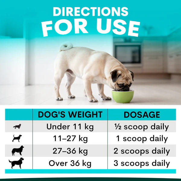 PetzPark – Urinary + Kidney – For Dogs - image 4