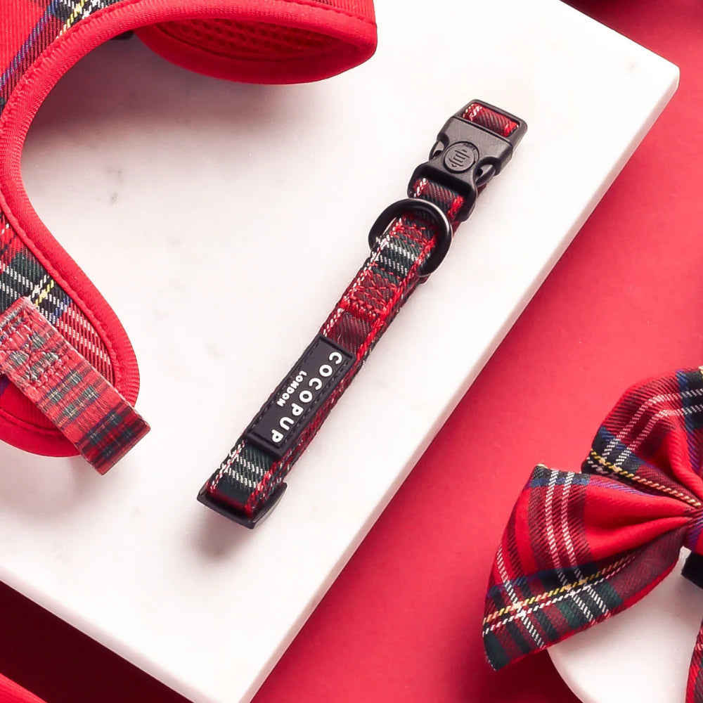Dog Collar – Tartan - image 2