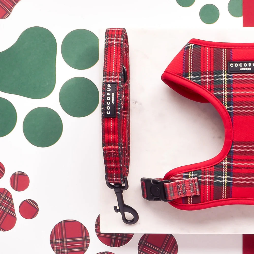 Dog Lead – Tartan