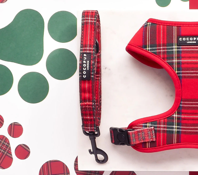 Dog Lead – Tartan