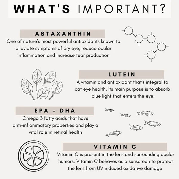 PetzPark – Eye Support – For Cats