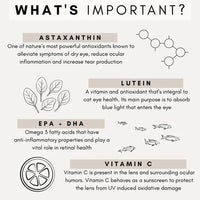 PetzPark – Eye Support – For Cats