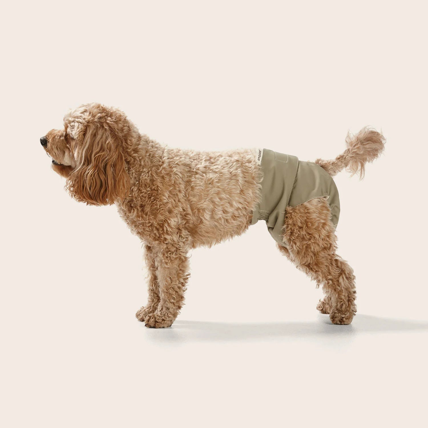 Washable Dog Nappy – Twin Pack for Female Dogs - image 4