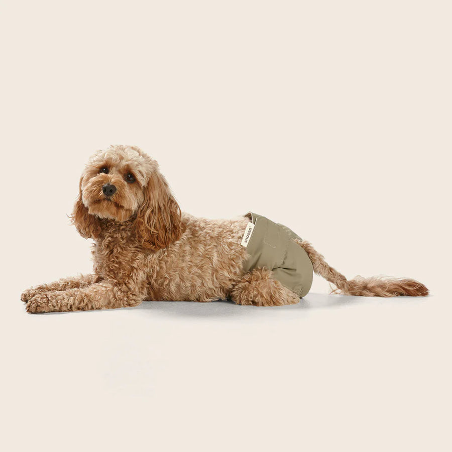 Washable Dog Nappy – Twin Pack for Female Dogs - image 5