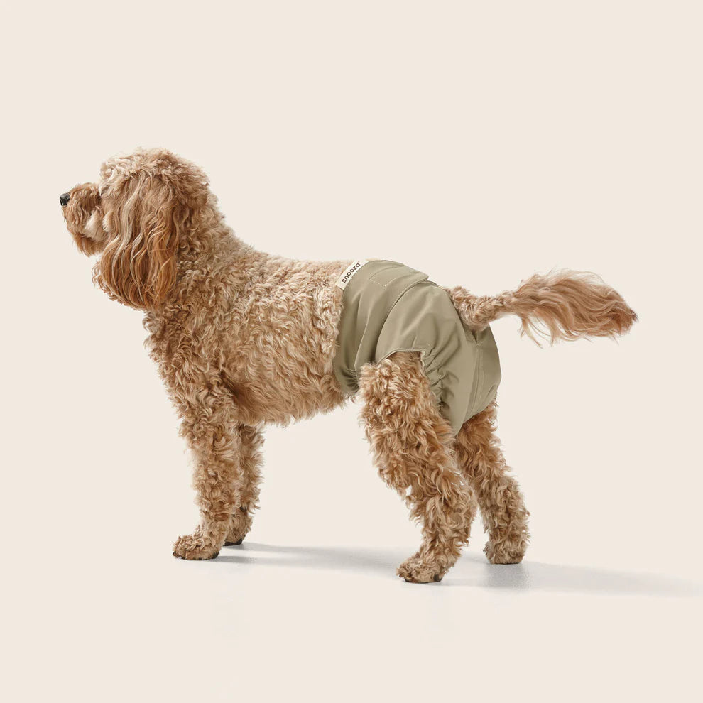 Washable Dog Nappy – Twin Pack for Female Dogs - image 7