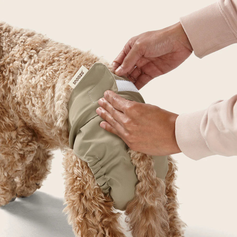 Washable Dog Nappy – Twin Pack for Female Dogs - image 6