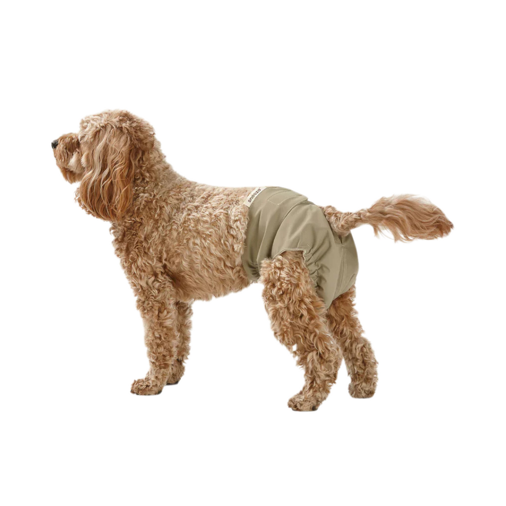 Washable Dog Nappy – Twin Pack for Female Dogs