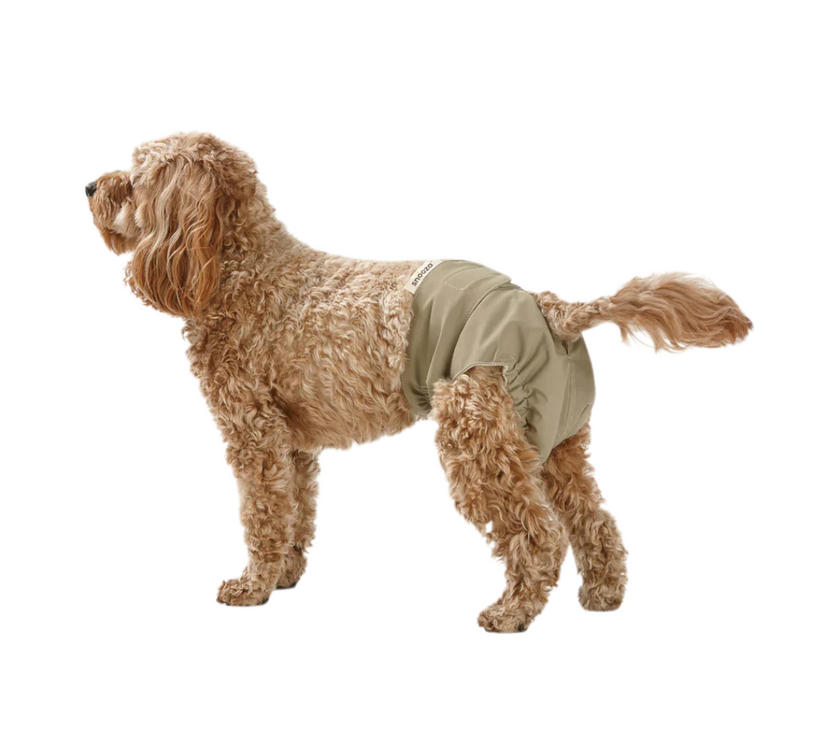 Washable Dog Nappy – Twin Pack for Female Dogs