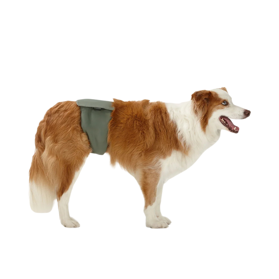 Washable Dog Nappy – Male dog Twin Pack