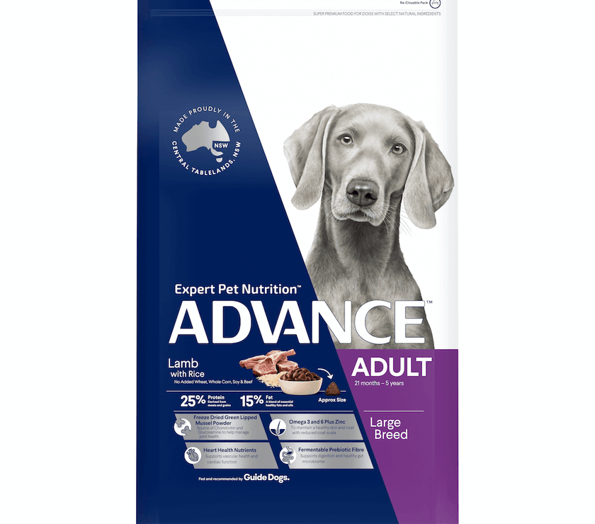 Advance – Adult Dog – Large Breed – Lamb - The Pet Standard