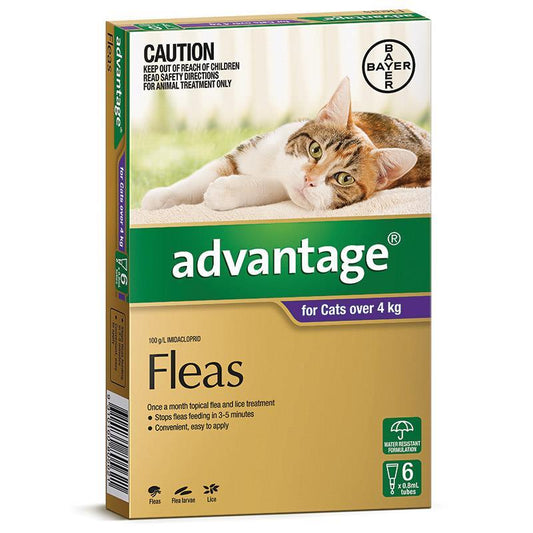 Advantage – Fleas – Cats over 4kg - The Pet Standard