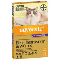 Advocate – Kittens/Cats – Flea & Worm Control – 6 Tubes - The Pet Standard