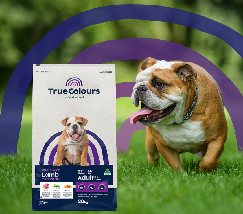 Adult Dog – Australian Lamb + Brown Rice
