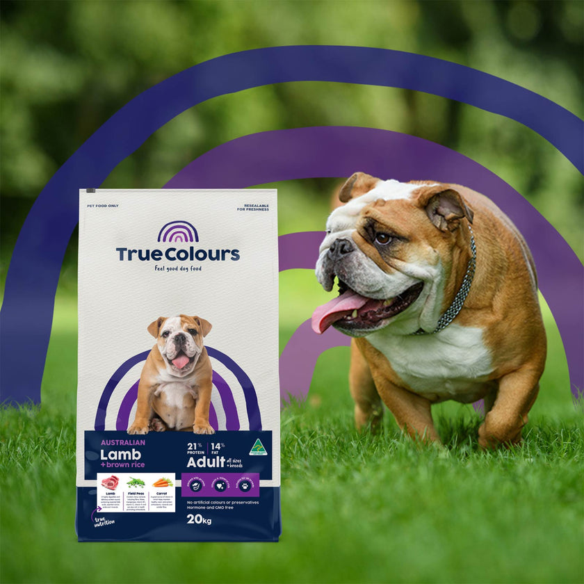 Adult Dog – Australian Lamb + Brown Rice