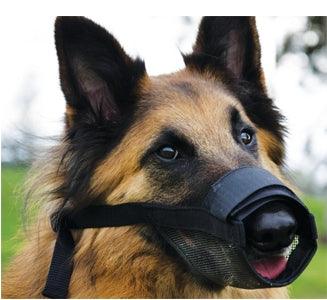 Beau Pets – Adjustable Muzzle – Nylon - The Pet Standard