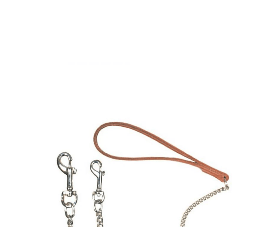 Beau Pets – Chain Lead with Leather Handle – Cognac - The Pet Standard