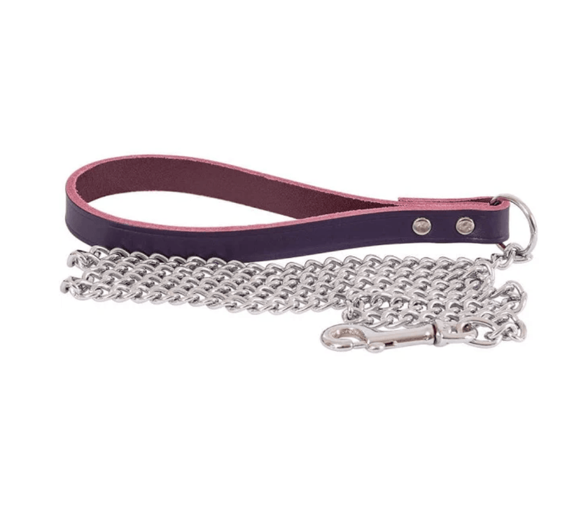 Beau Pets – Chain Lead with Leather Handle – Purple - The Pet Standard