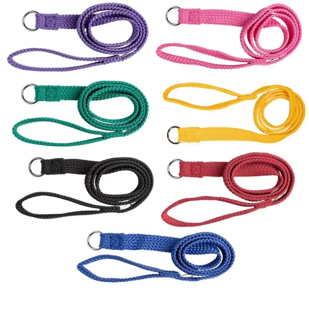 Beau Pets – Double Nylon – Choker Lead – Blue - The Pet Standard