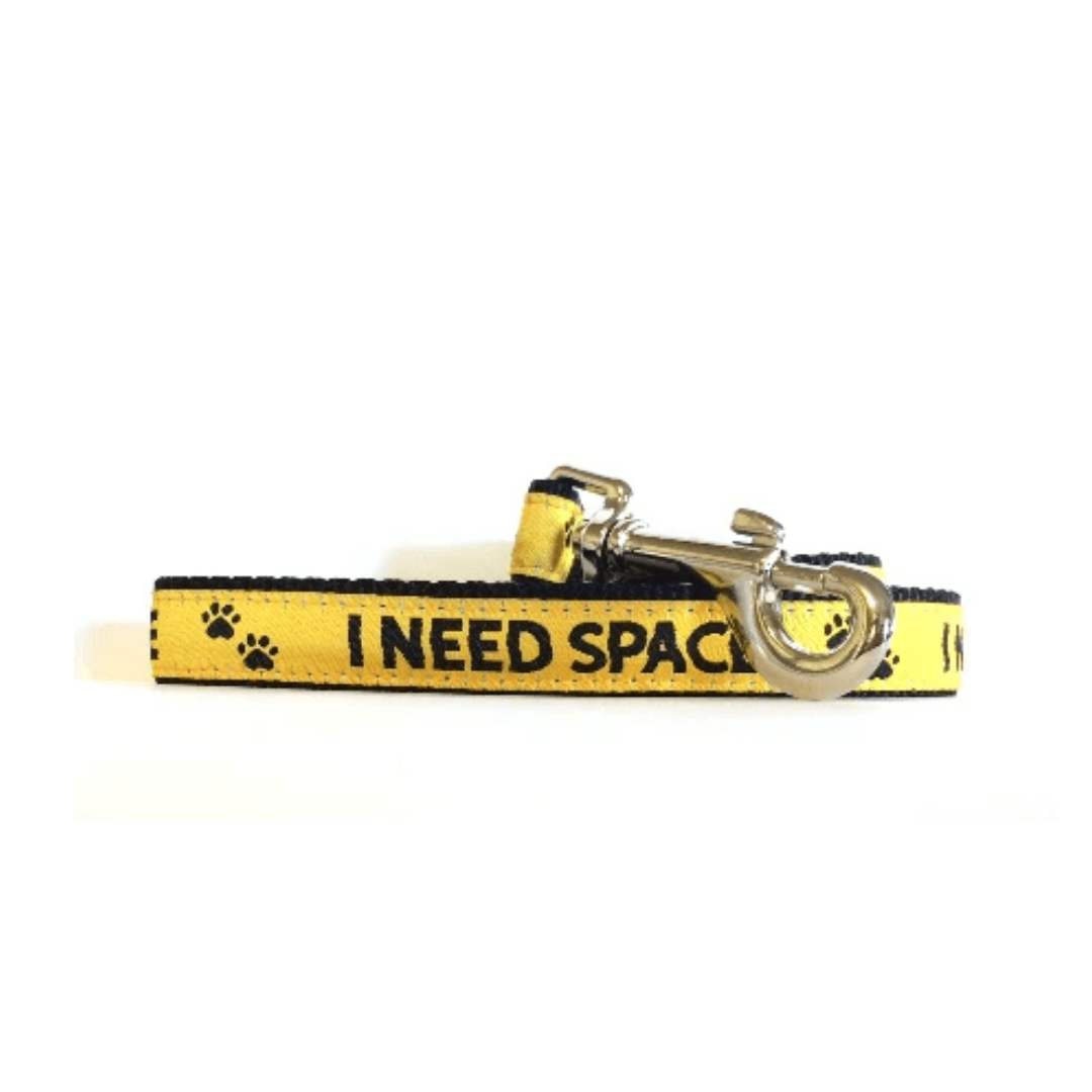 Beau Pets – Space Leash - The Pet Standard