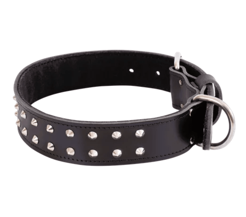 Beau Pets – Studded Leather Collar – Rottweiler / Great Dane - The Pet Standard