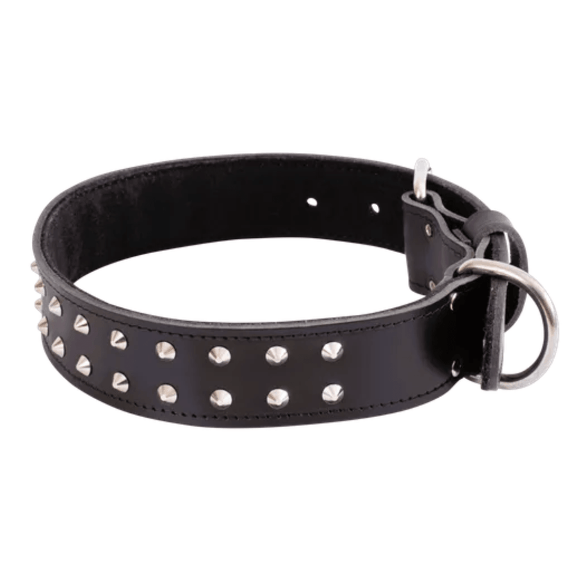 Beau Pets – Studded Leather Collar – Rottweiler / Great Dane - The Pet Standard