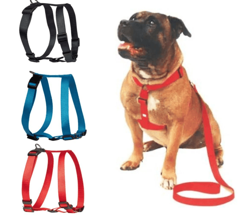 Beau Pets – Walking Harness – Black - The Pet Standard