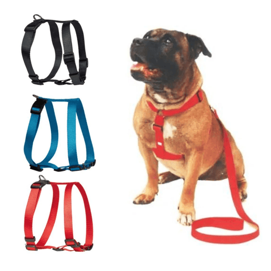 Beau Pets – Walking Harness – Black - The Pet Standard