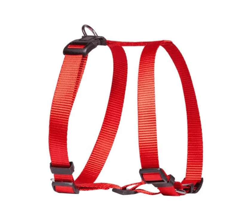 Beau Pets – Walking Harness – Red - The Pet Standard