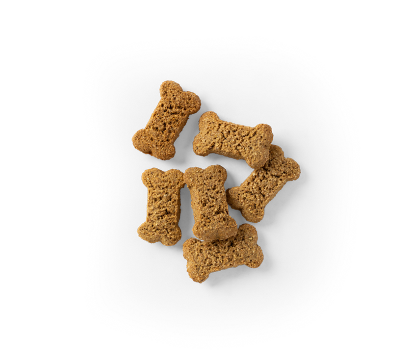 SavourLife – Biscuits