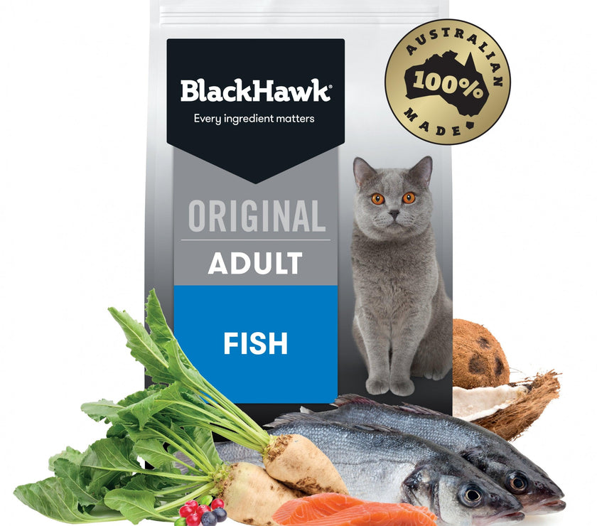 Black Hawk – Adult Cat – Fish - The Pet Standard