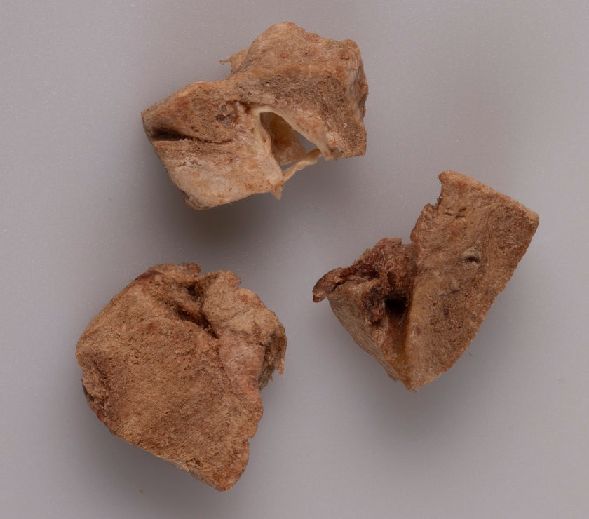 Premium Freeze Dried Dog Treats - 40g