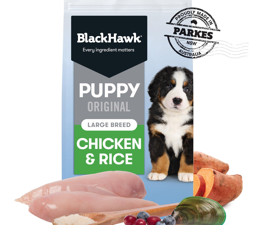 Black Hawk – Puppy – Large Breed – Chicken & Rice - The Pet Standard