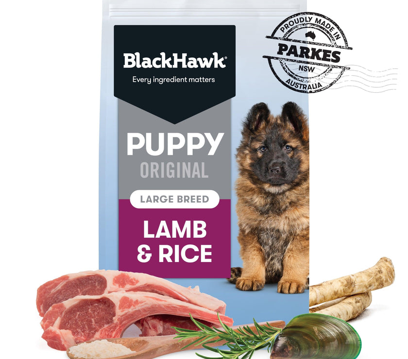 Black Hawk – Puppy – Large Breed – Lamb & Rice - The Pet Standard